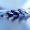 Fotolia_27634535_XS