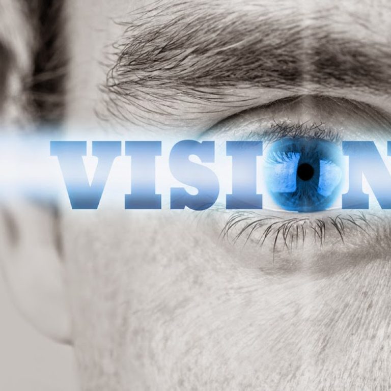 La vision